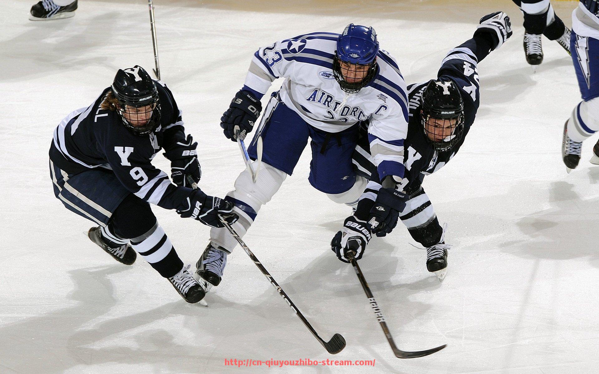 球友体育直播-罗马队在欧冠赛场上的精彩表现与未来展望